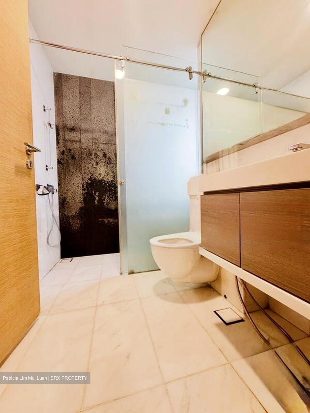 SilverSea (D15), Condominium #483618871